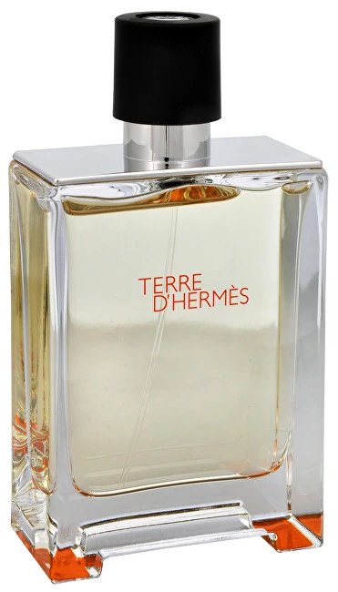 Hermes Terre D'Hermes Toaletna voda - Tester