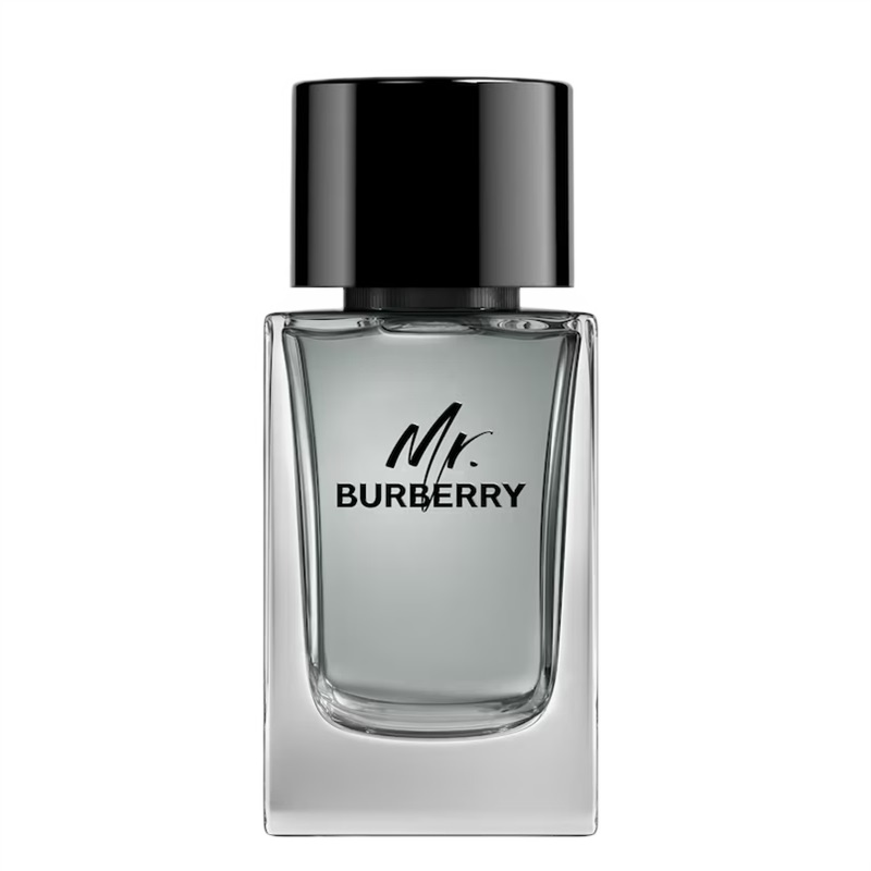 Burberry Mr. Burberry for Men Eau de toilette Toaletna voda