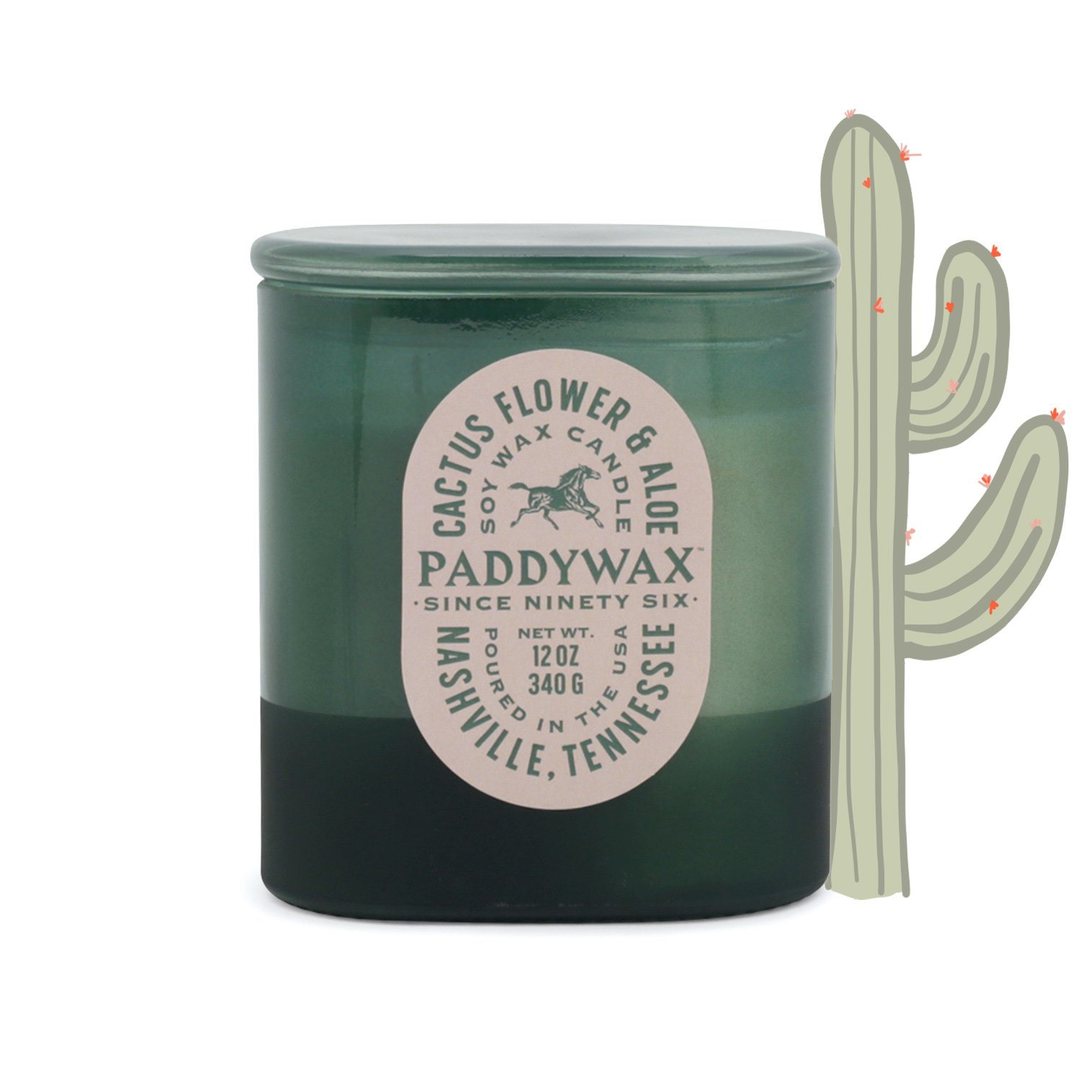 Paddywax Vista Cactus Flower & Aloe mirisna svijeća 340 g