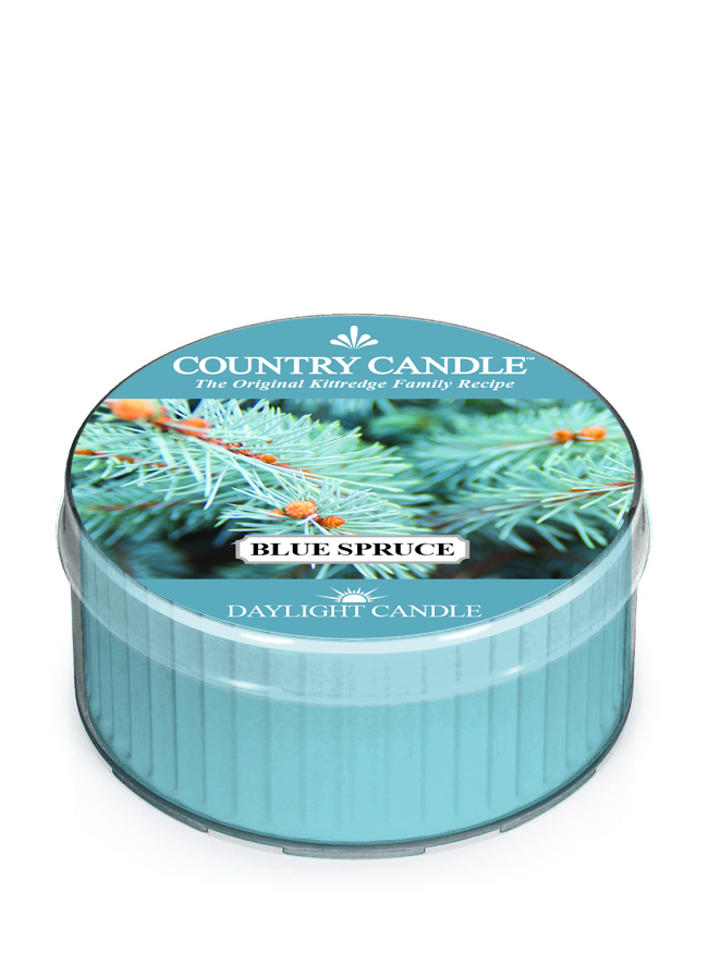 Mirisna svijeća Country Candle Blue Spruce (42g)